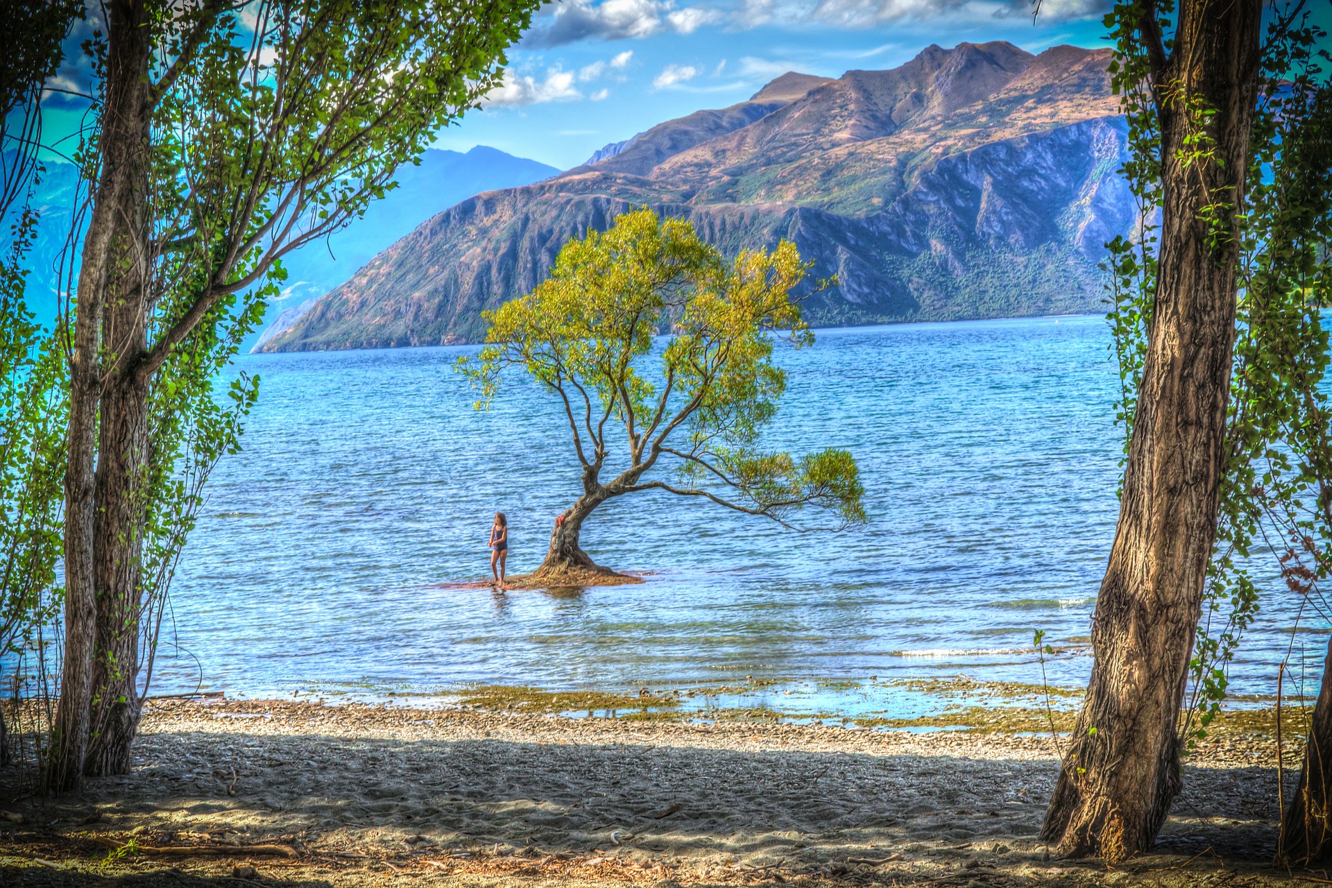 wanaka-325378_1920-pixabay.jpg (1.19 MB)