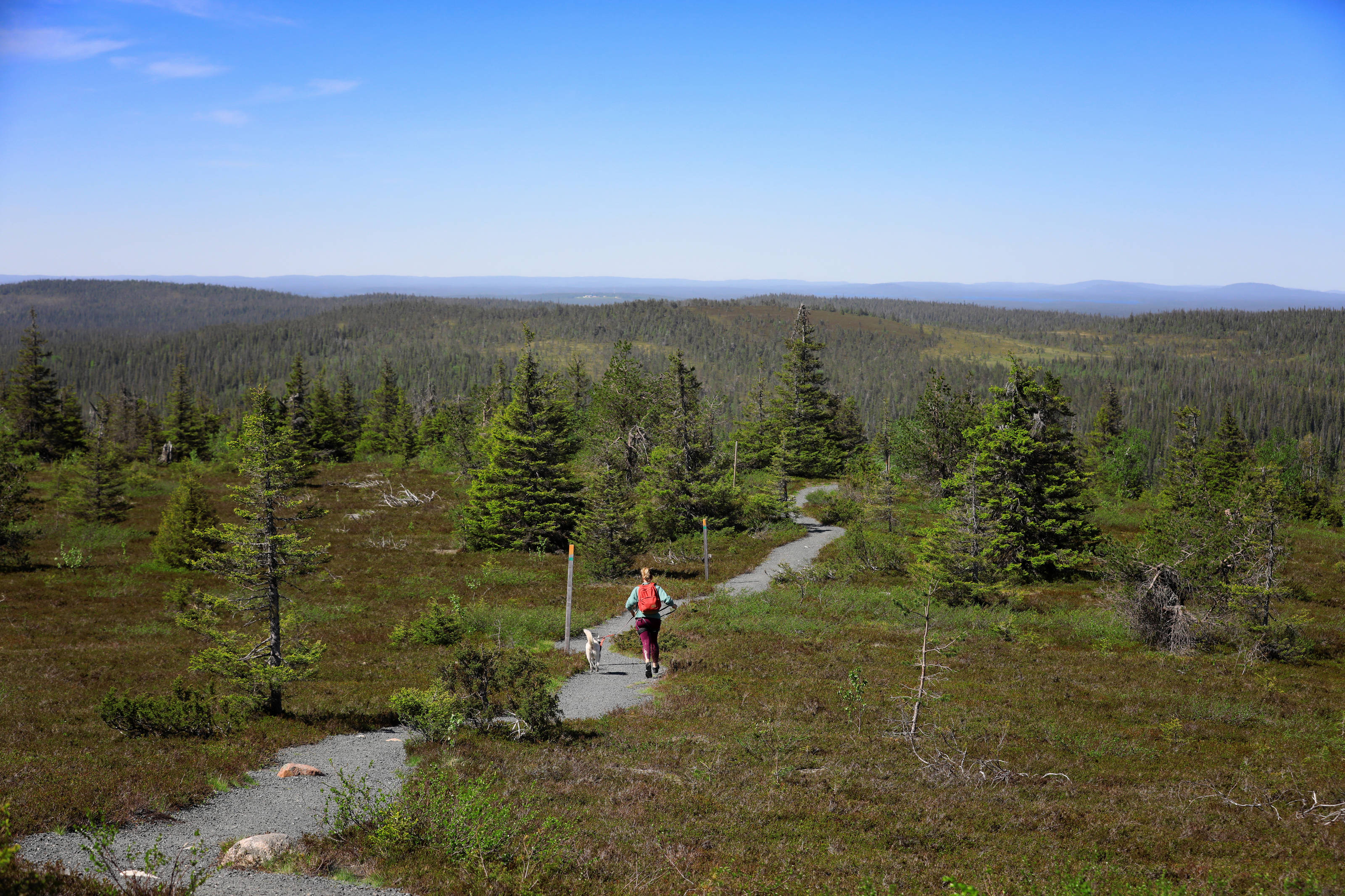 lappii-juoksu-4e5a0810-bf-harri-tarvainen.jpg (1.34 MB)